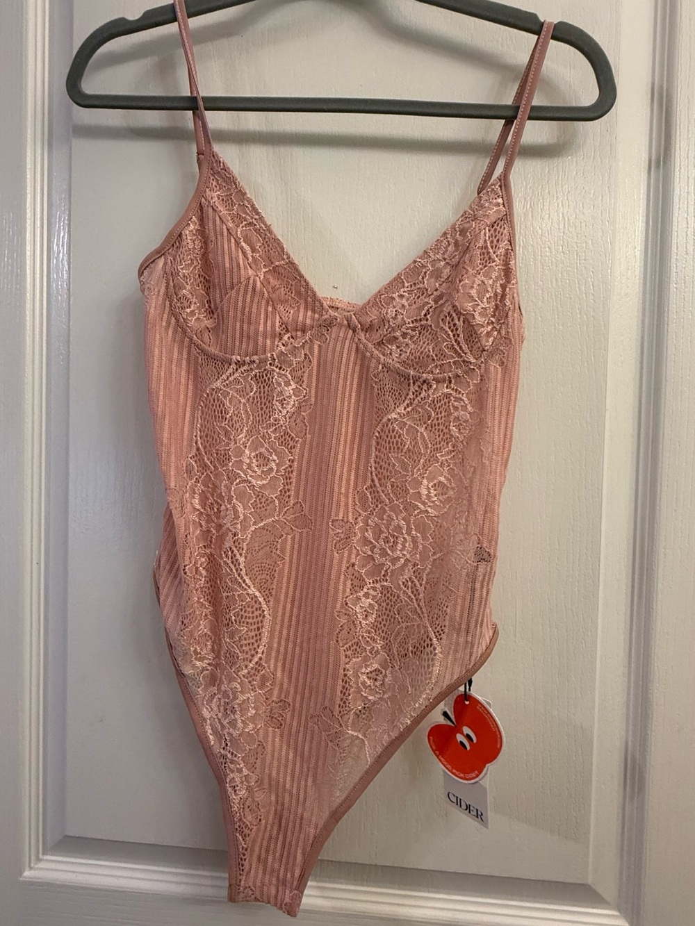 Cider Dusty Pink Lace-Trim Bodysuit